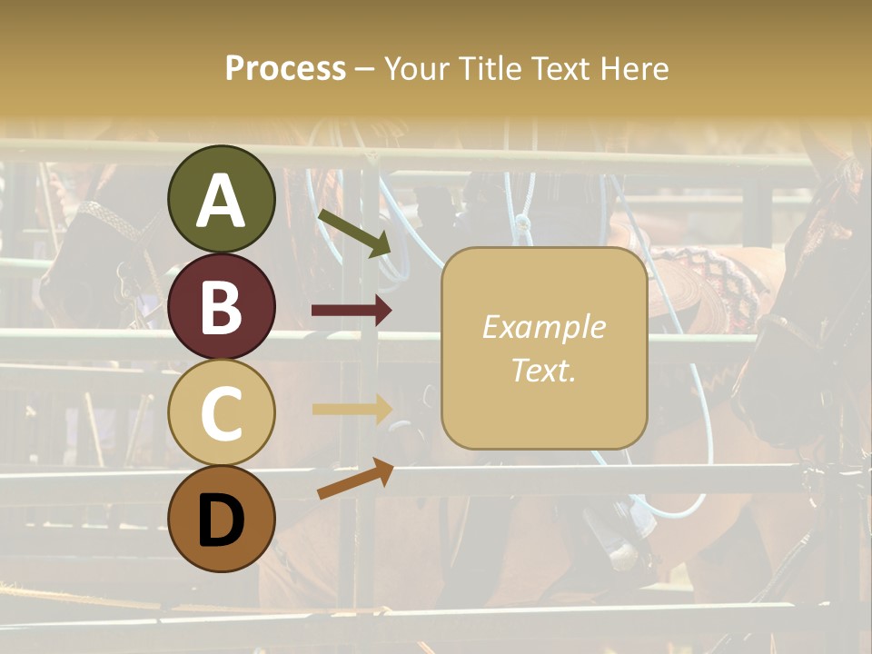 West Competition Calf PowerPoint Template