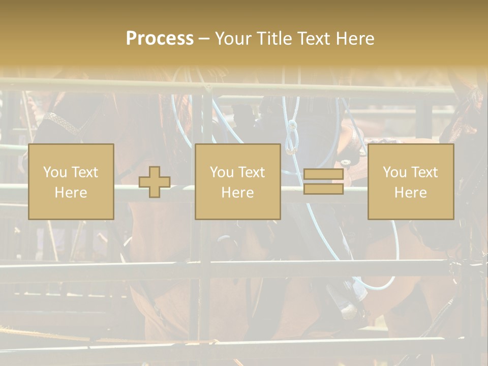 West Competition Calf PowerPoint Template