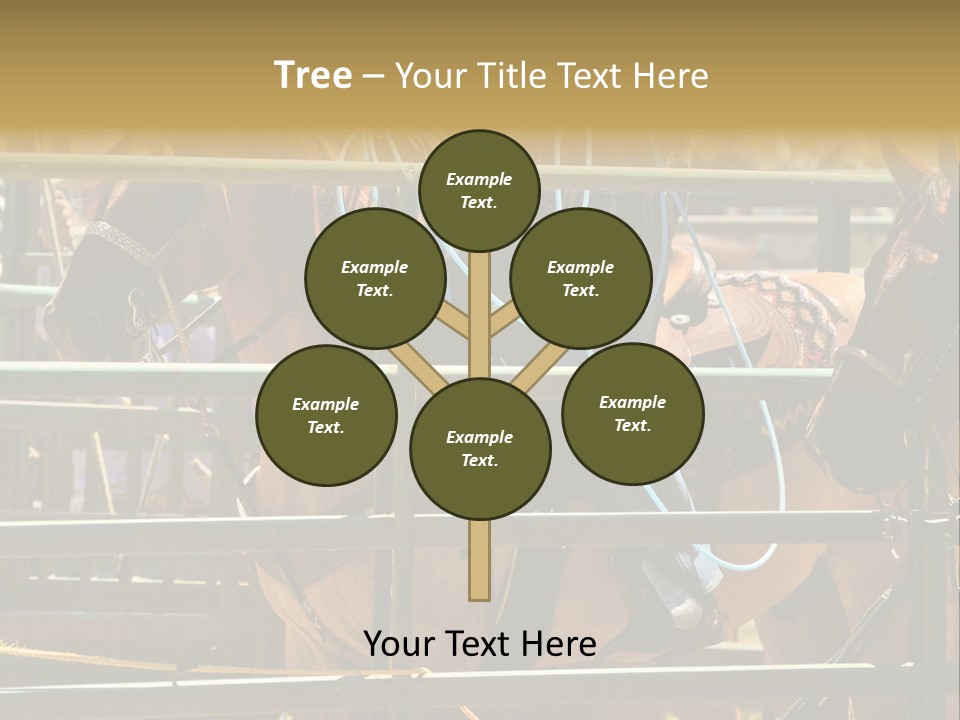 West Competition Calf PowerPoint Template