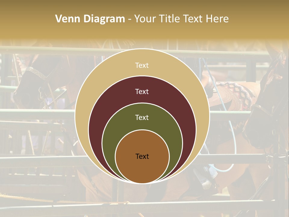 West Competition Calf PowerPoint Template
