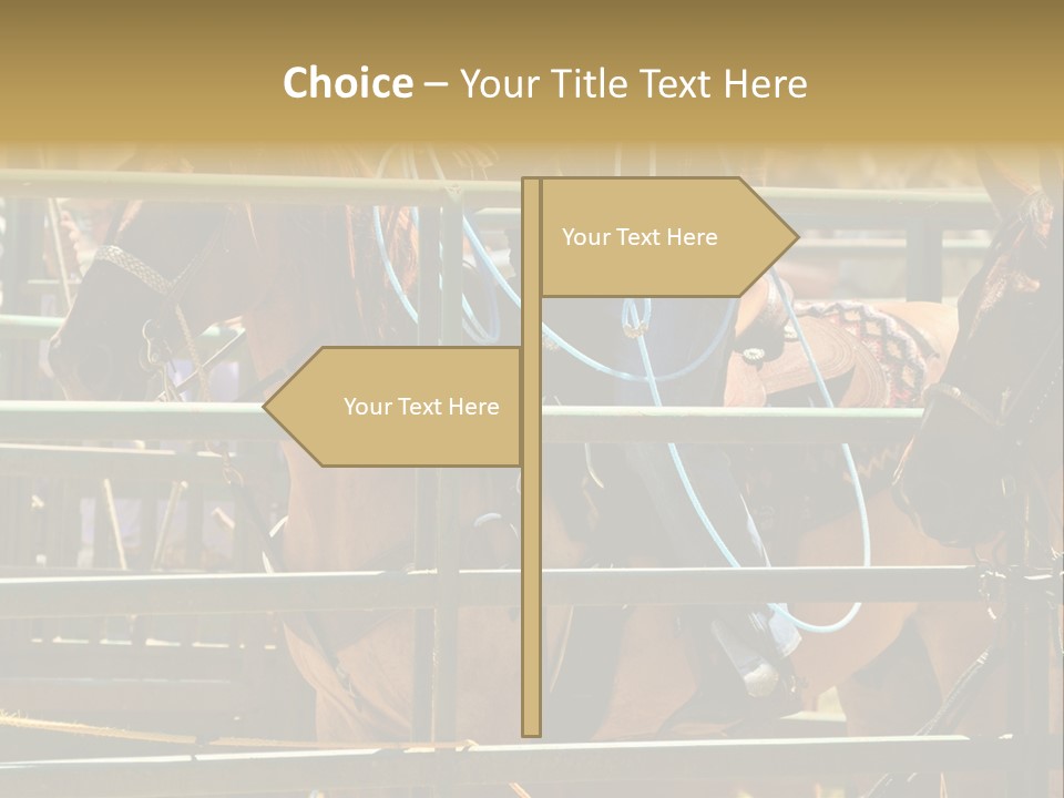 West Competition Calf PowerPoint Template
