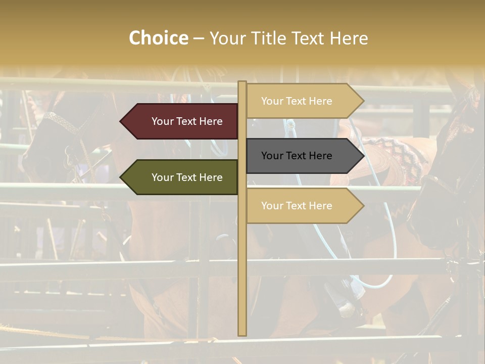 West Competition Calf PowerPoint Template