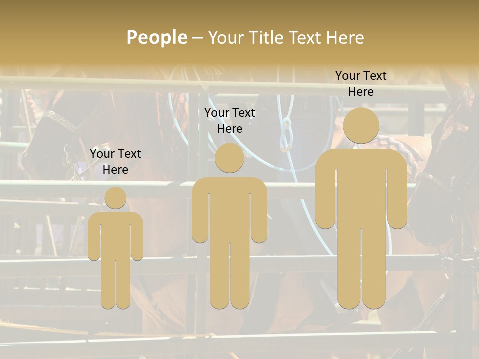 West Competition Calf PowerPoint Template