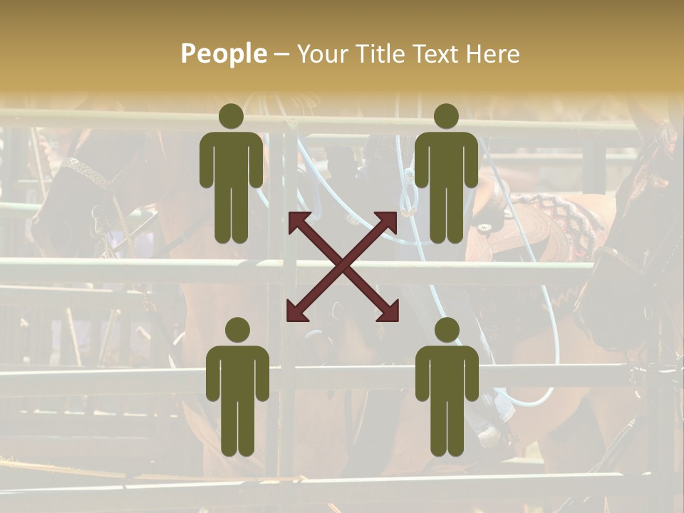 West Competition Calf PowerPoint Template