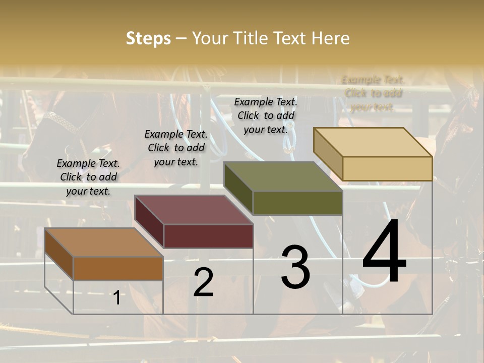 West Competition Calf PowerPoint Template