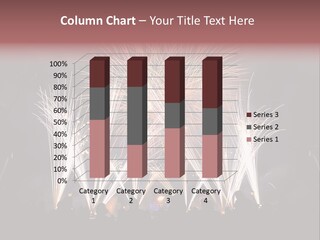 A Group Of People Watching A Fireworks Display PowerPoint Template