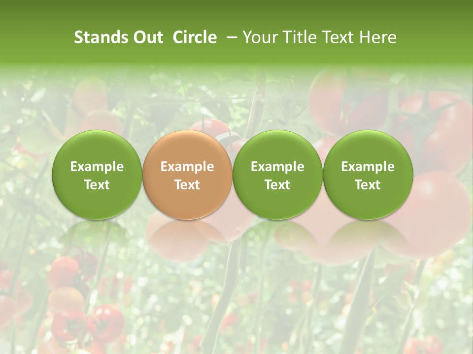 Greenhouse Gardens Farm PowerPoint Template