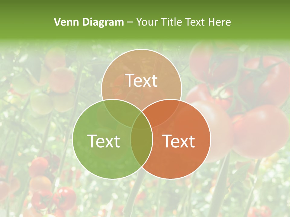 Greenhouse Gardens Farm PowerPoint Template
