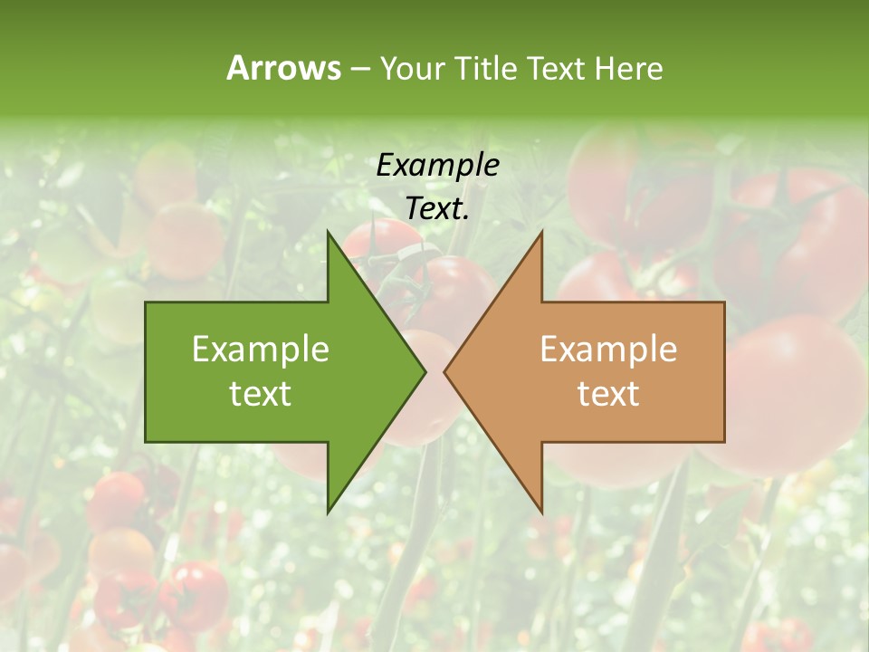 Greenhouse Gardens Farm PowerPoint Template