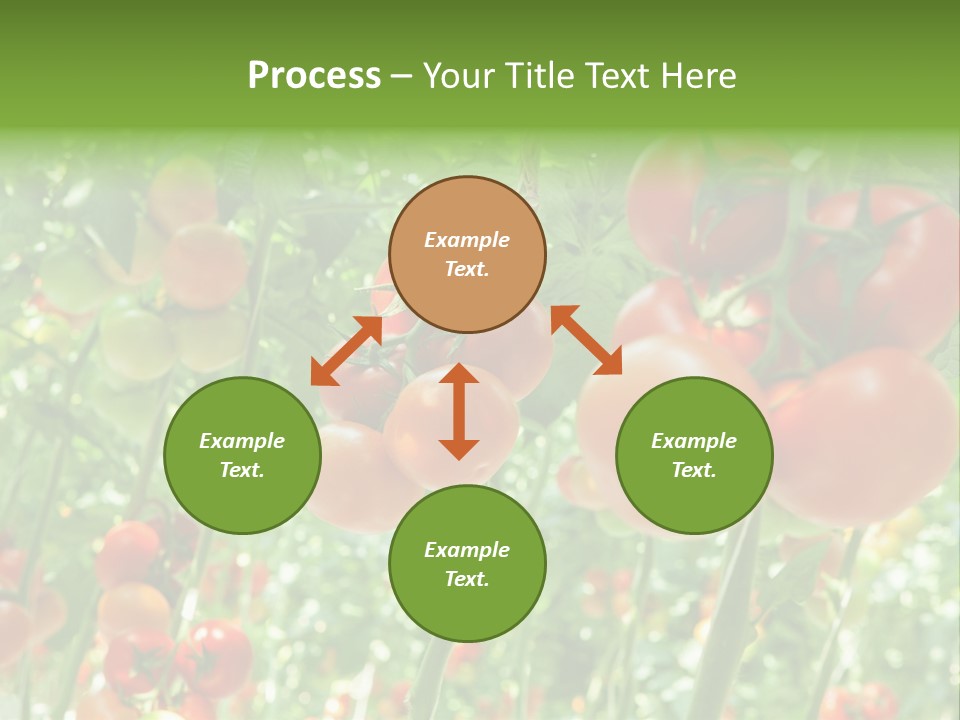 Greenhouse Gardens Farm PowerPoint Template