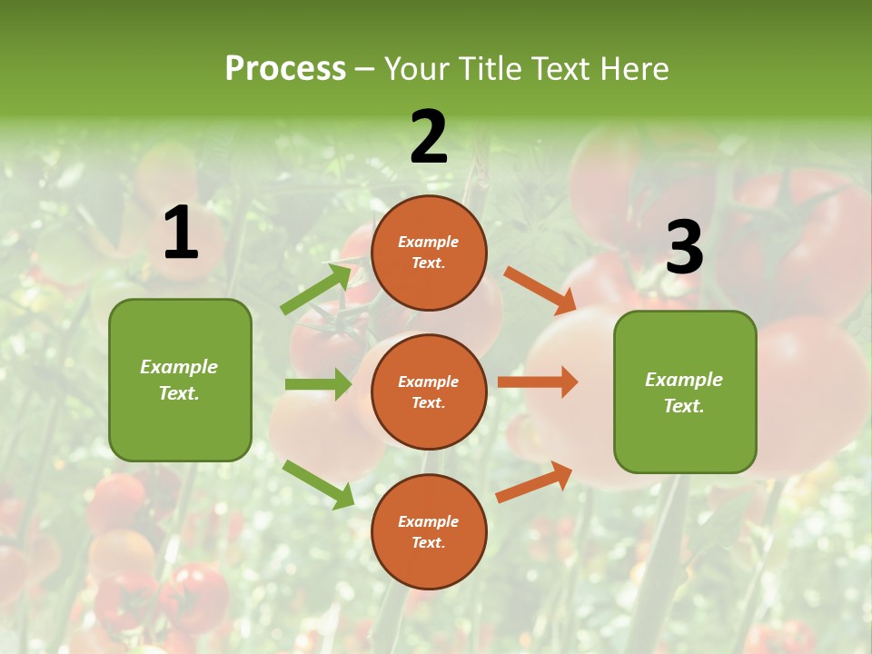 Greenhouse Gardens Farm PowerPoint Template
