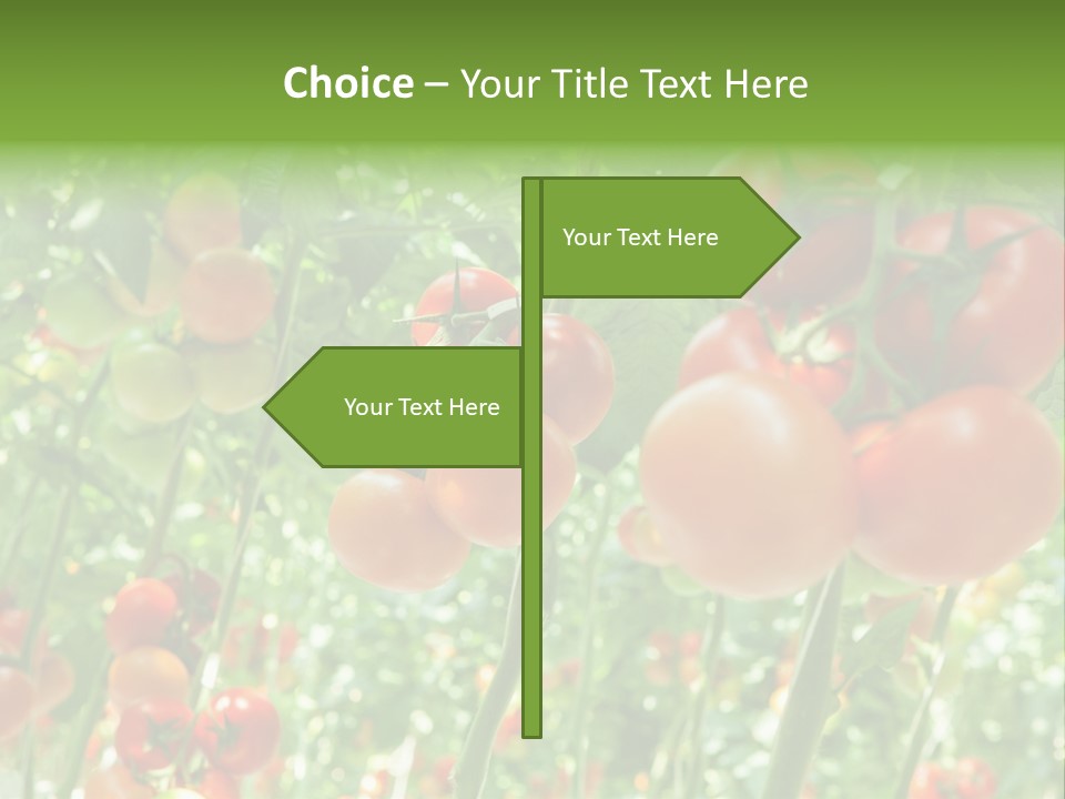 Greenhouse Gardens Farm PowerPoint Template