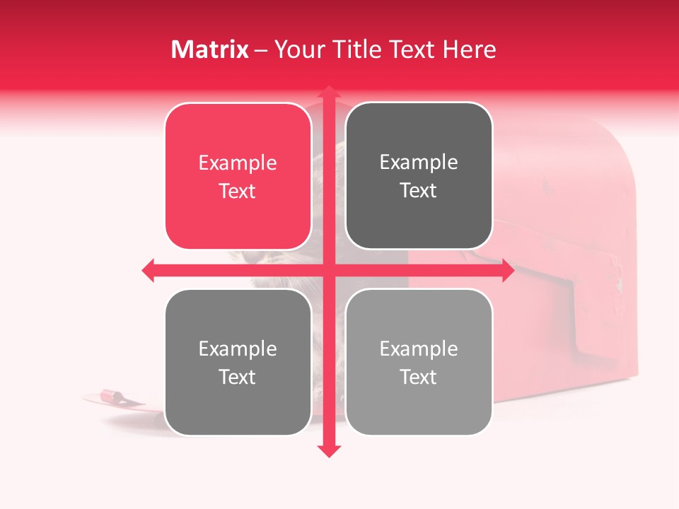 Kitty Single Animal Mammal PowerPoint Template