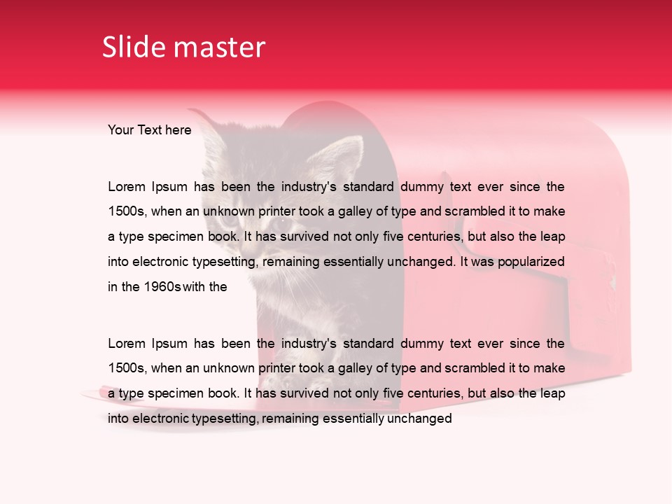 Kitty Single Animal Mammal PowerPoint Template