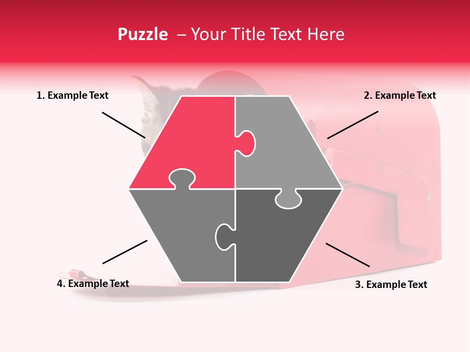 Kitty Single Animal Mammal PowerPoint Template