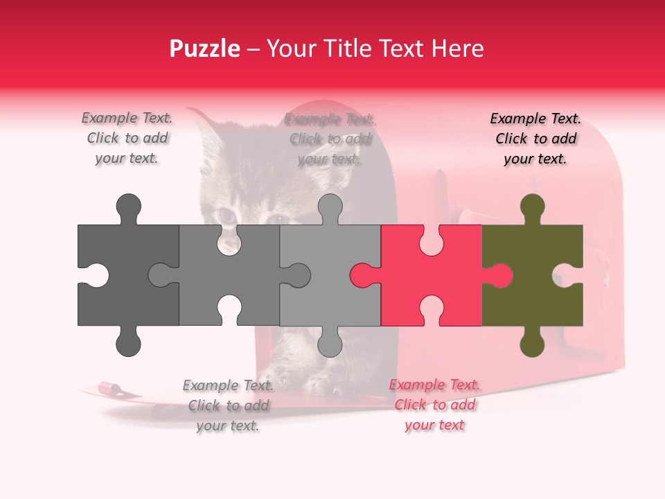 Kitty Single Animal Mammal PowerPoint Template