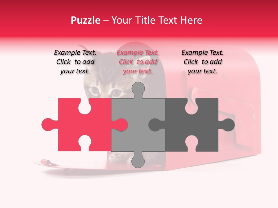 Kitty Single Animal Mammal PowerPoint Template