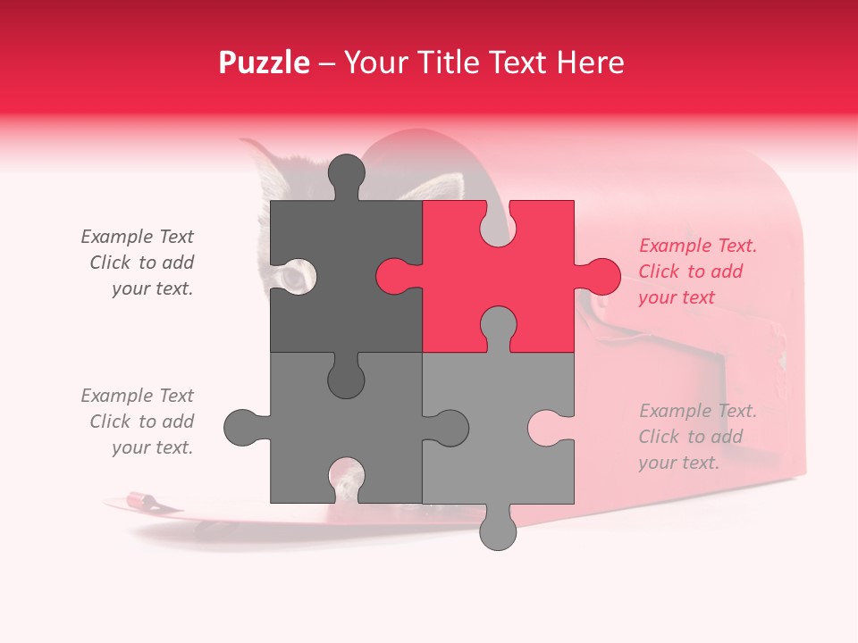 Kitty Single Animal Mammal PowerPoint Template