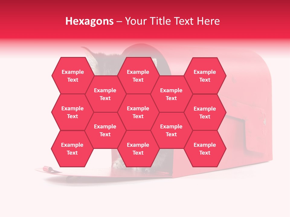 Kitty Single Animal Mammal PowerPoint Template