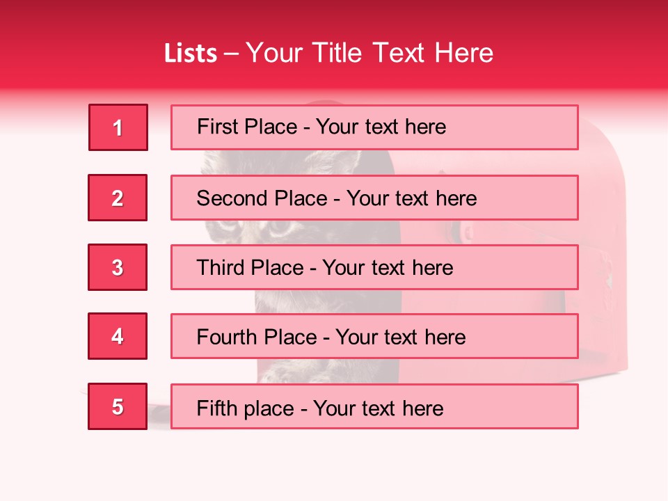 Kitty Single Animal Mammal PowerPoint Template
