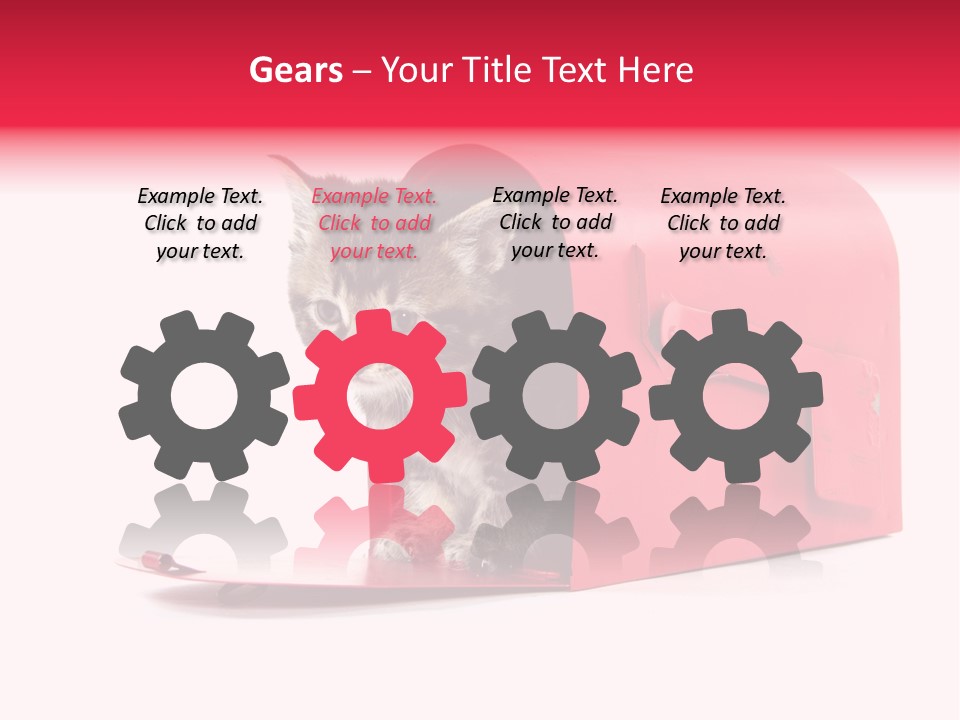 Kitty Single Animal Mammal PowerPoint Template