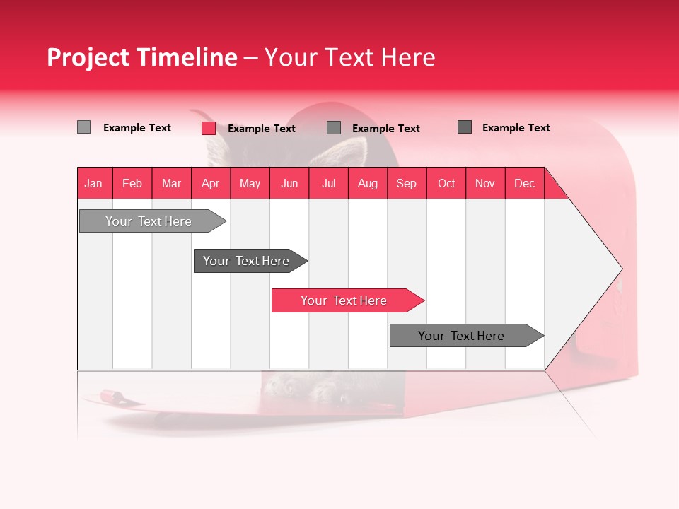 Kitty Single Animal Mammal PowerPoint Template