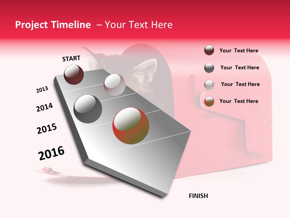 Kitty Single Animal Mammal PowerPoint Template