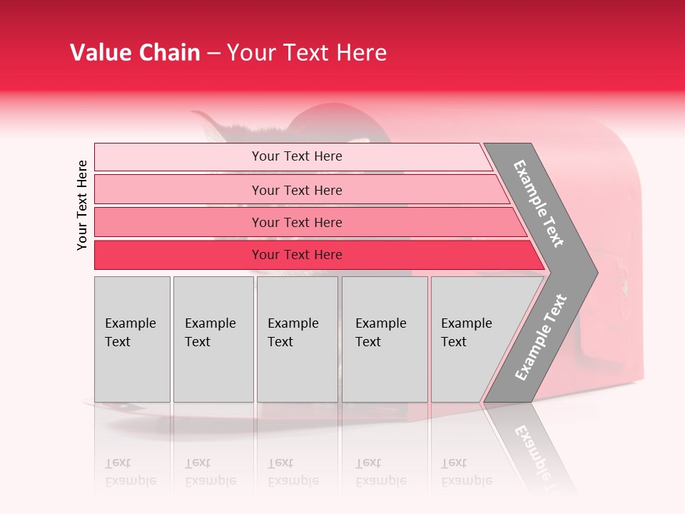 Kitty Single Animal Mammal PowerPoint Template