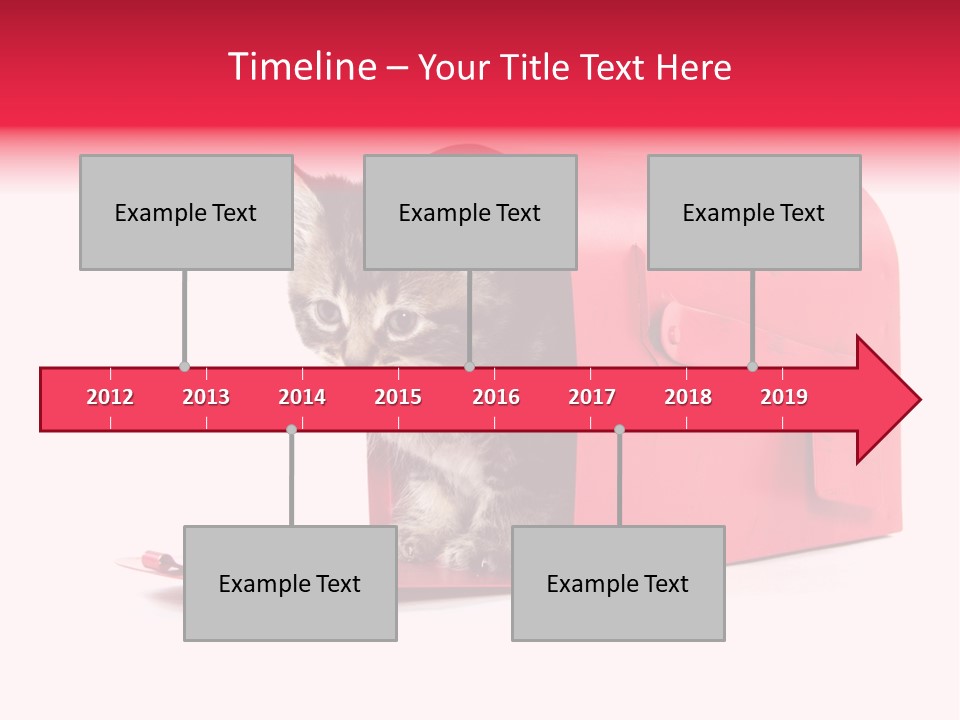 Kitty Single Animal Mammal PowerPoint Template