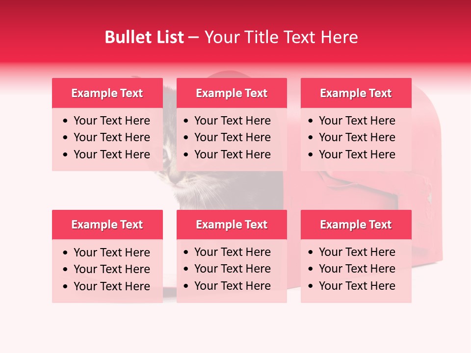 Kitty Single Animal Mammal PowerPoint Template