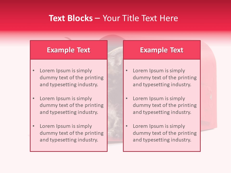 Kitty Single Animal Mammal PowerPoint Template
