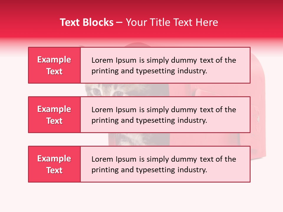 Kitty Single Animal Mammal PowerPoint Template