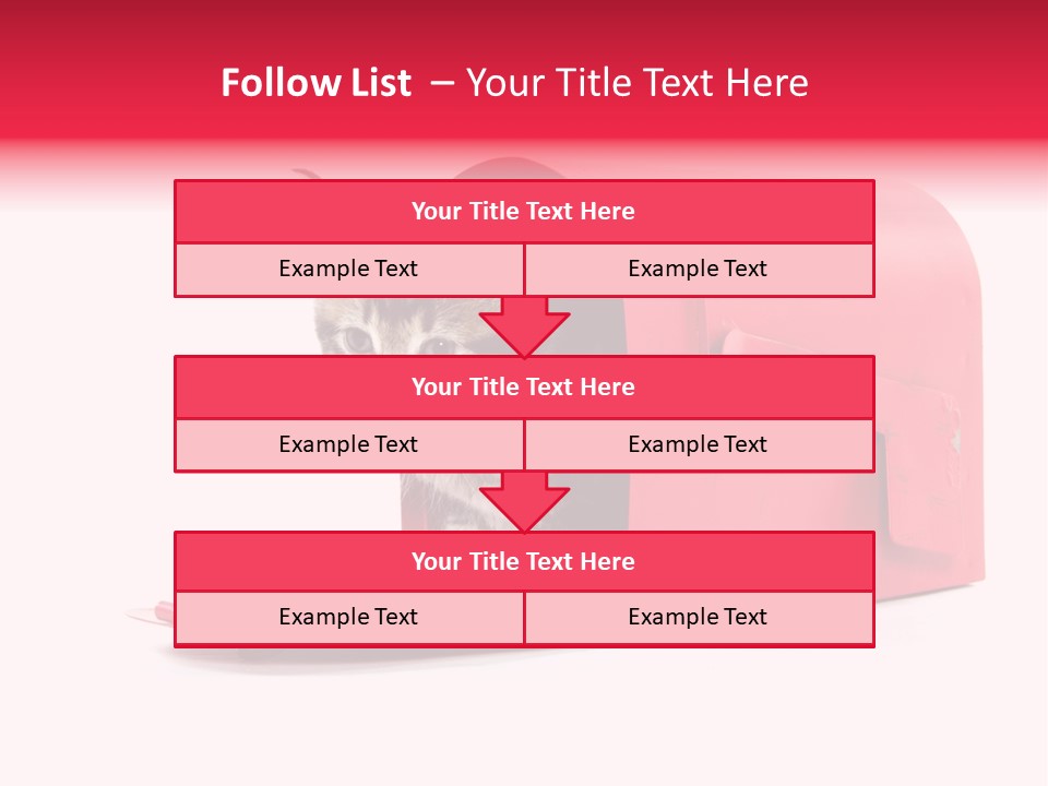 Kitty Single Animal Mammal PowerPoint Template