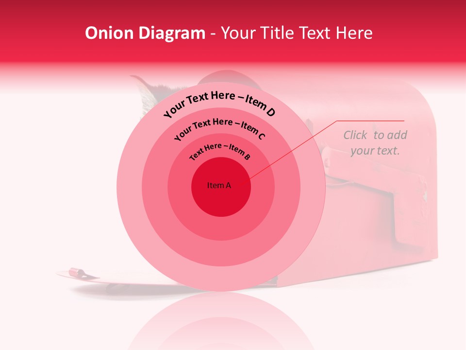 Kitty Single Animal Mammal PowerPoint Template