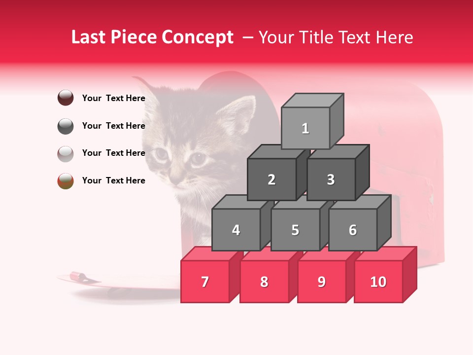 Kitty Single Animal Mammal PowerPoint Template