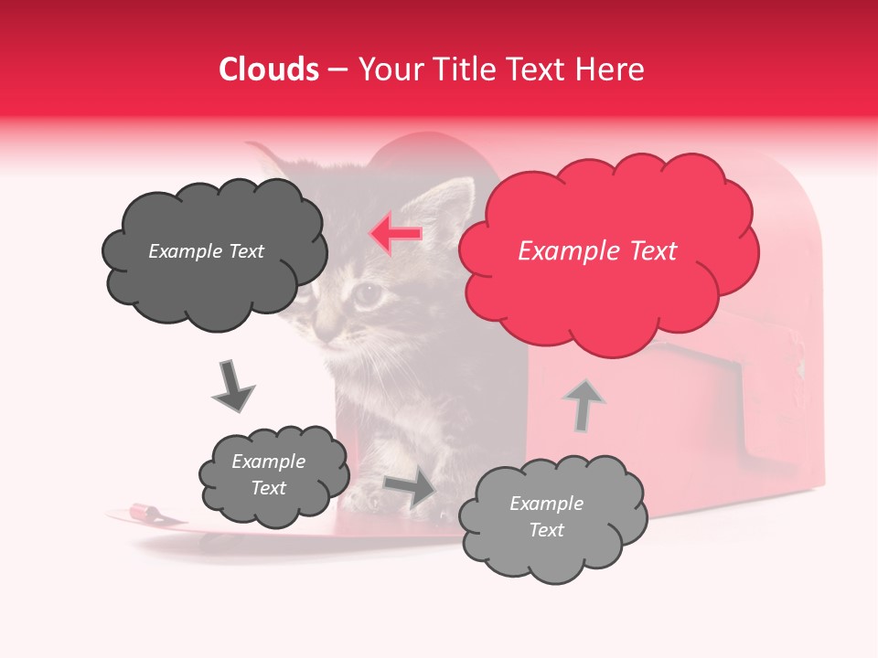 Kitty Single Animal Mammal PowerPoint Template