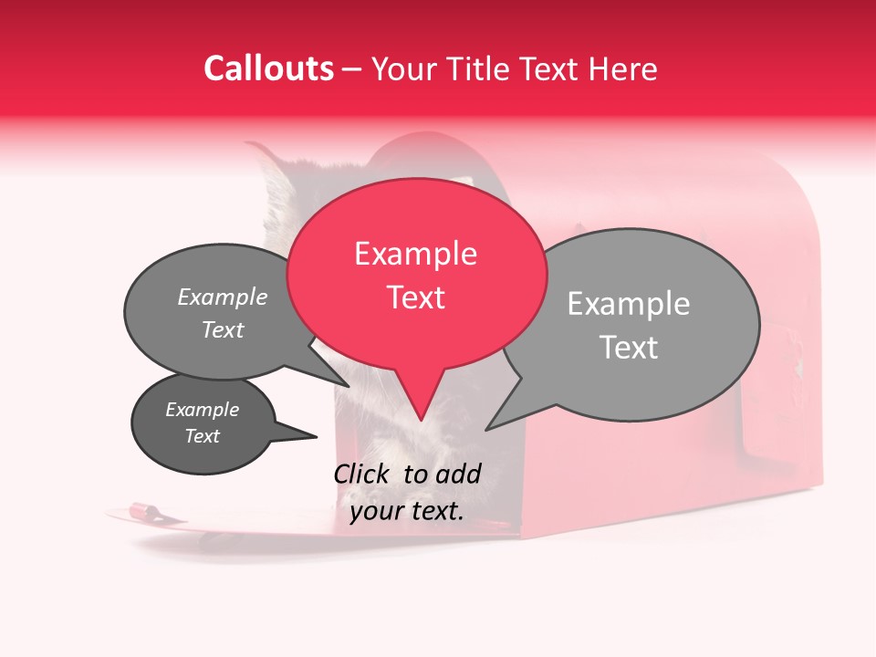 Kitty Single Animal Mammal PowerPoint Template