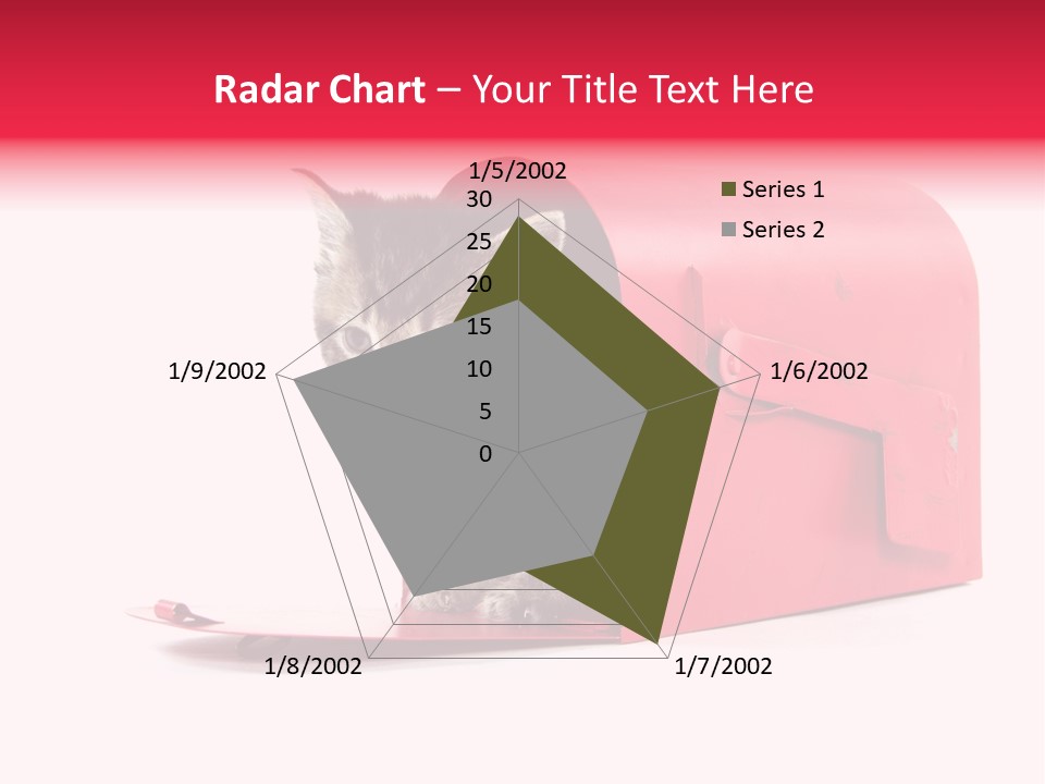 Kitty Single Animal Mammal PowerPoint Template