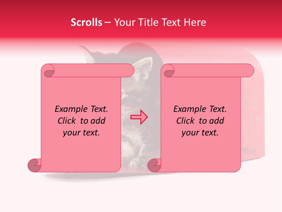 Kitty Single Animal Mammal PowerPoint Template