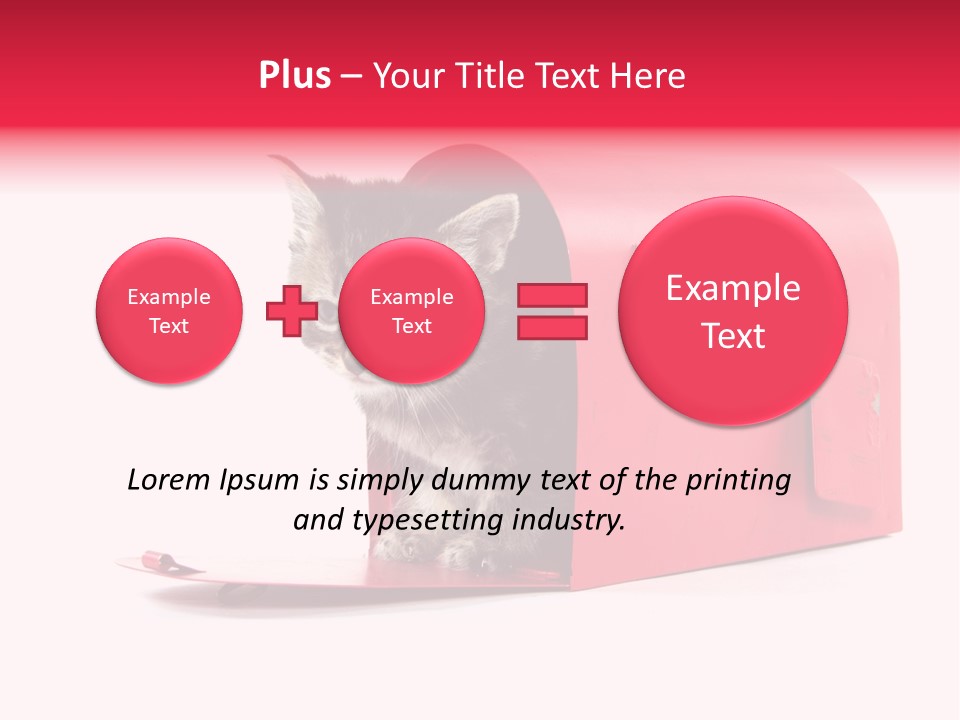 Kitty Single Animal Mammal PowerPoint Template