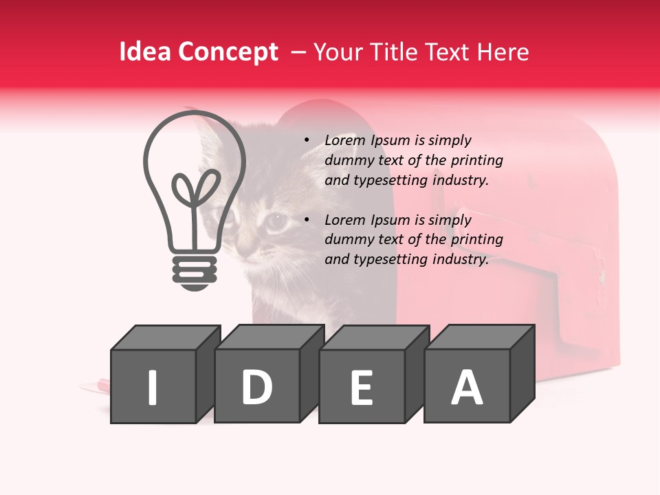 Kitty Single Animal Mammal PowerPoint Template