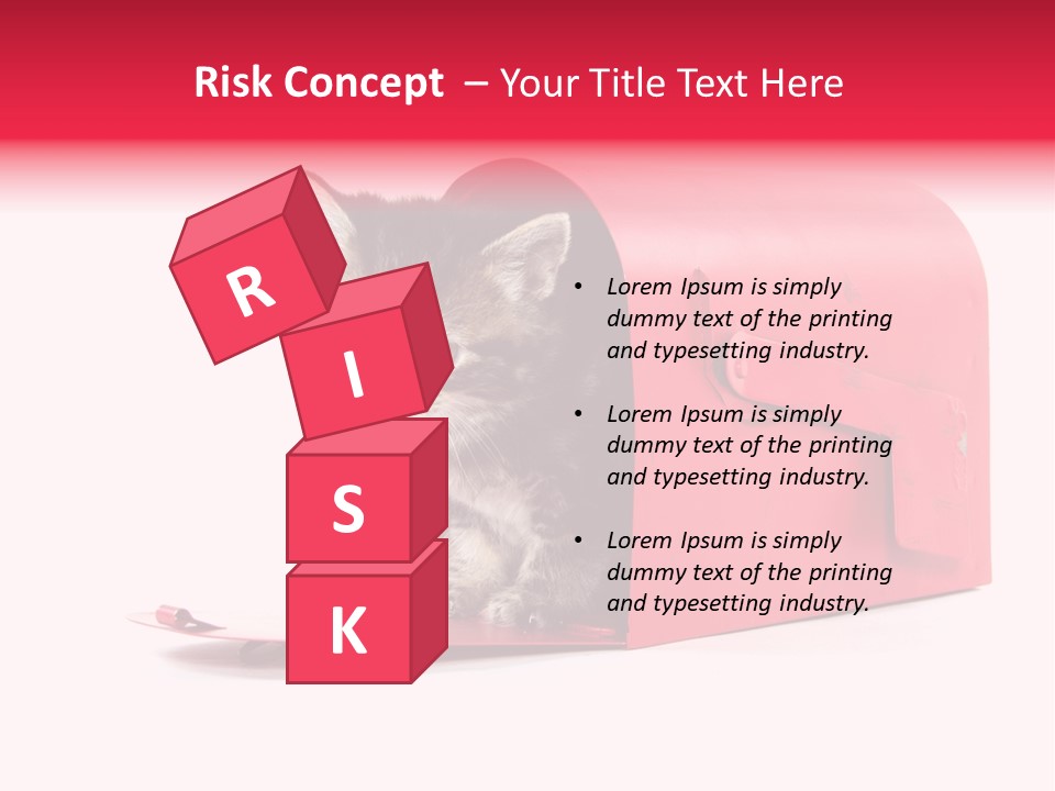 Kitty Single Animal Mammal PowerPoint Template