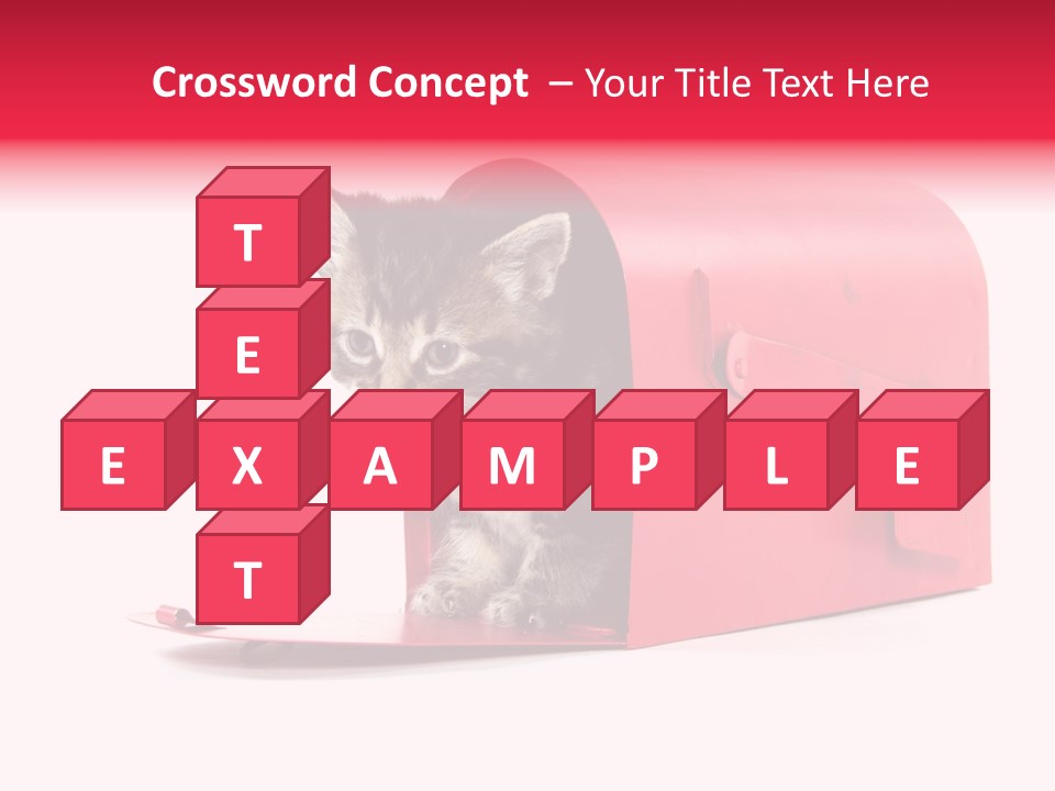 Kitty Single Animal Mammal PowerPoint Template