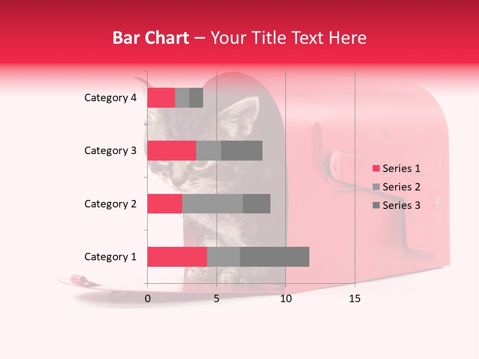 Kitty Single Animal Mammal PowerPoint Template