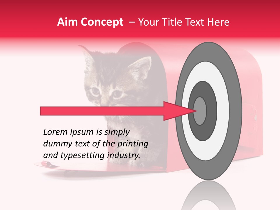 Kitty Single Animal Mammal PowerPoint Template