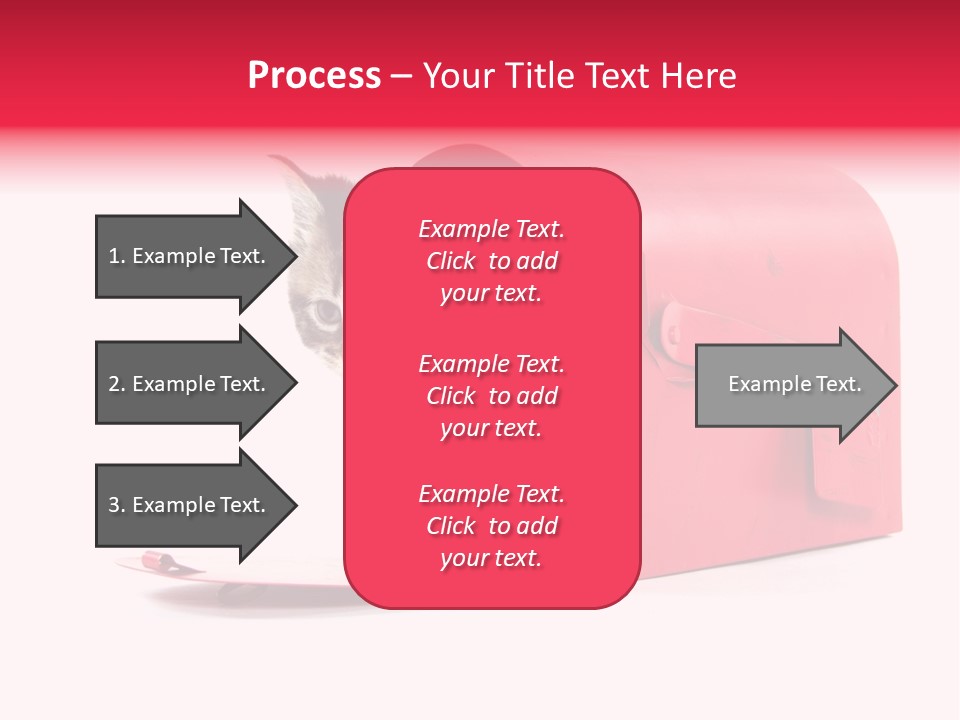 Kitty Single Animal Mammal PowerPoint Template