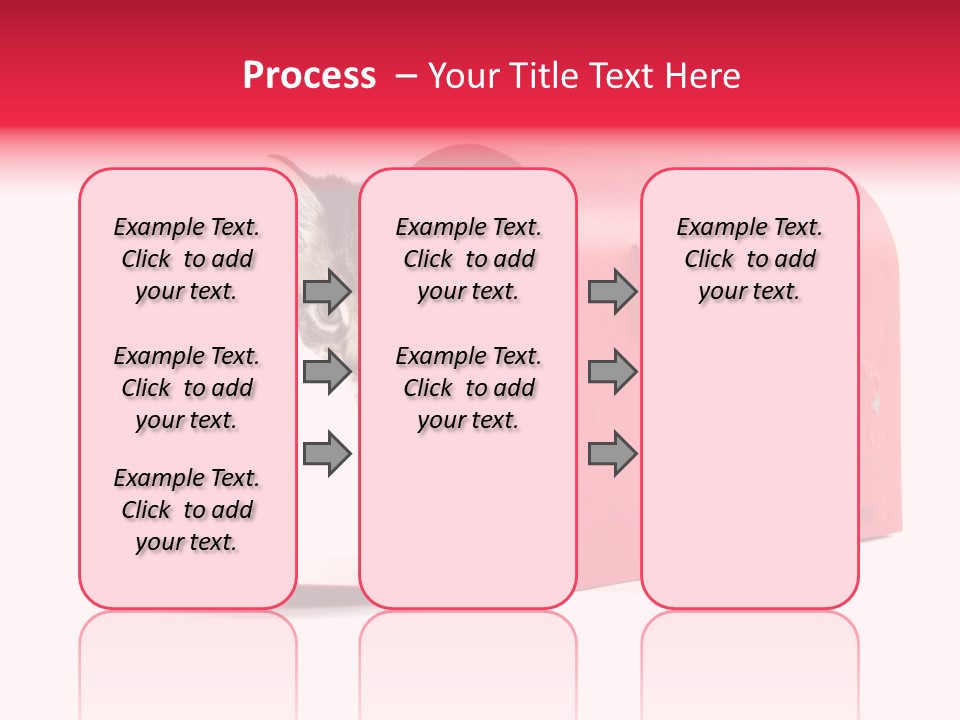 Kitty Single Animal Mammal PowerPoint Template