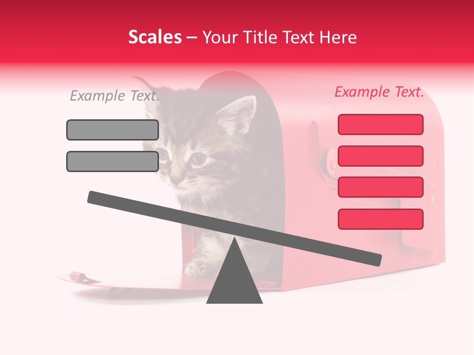 Kitty Single Animal Mammal PowerPoint Template