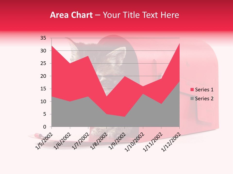 Kitty Single Animal Mammal PowerPoint Template