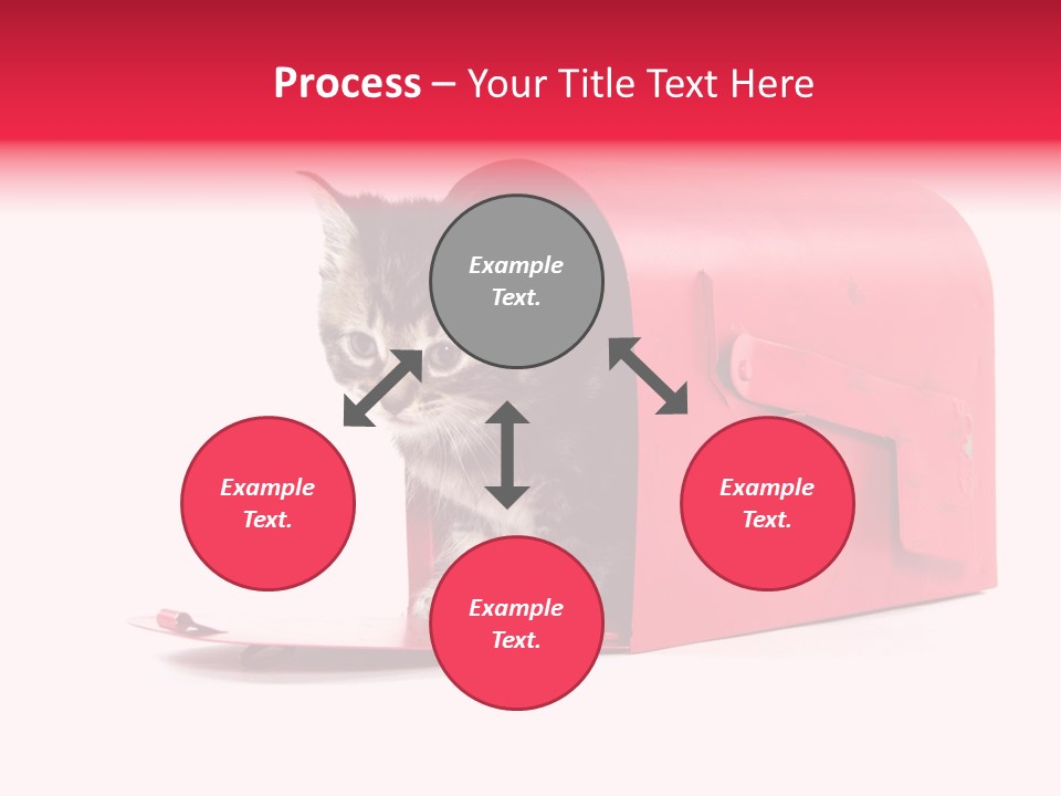 Kitty Single Animal Mammal PowerPoint Template